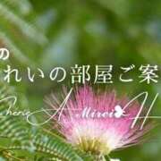 ヒメ日記 2026/04/25 17:10 投稿 みれい シェリーエンジェル