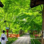 ヒメ日記 2026/06/14 05:56 投稿 みれい シェリーエンジェル