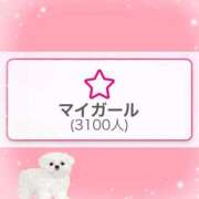 ヒメ日記 2025/10/02 22:46 投稿 ノゾミ エピソード(品川)