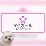 ヒメ日記 2025/11/01 16:01 投稿 ノゾミ エピソード(品川)