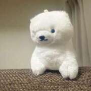 ヒメ日記 2026/01/13 11:31 投稿 ノゾミ エピソード(品川)