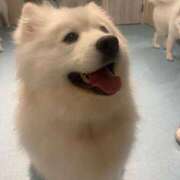 ヒメ日記 2025/11/02 11:07 投稿 神代ひめか 皇帝別館（こうていべっかん）