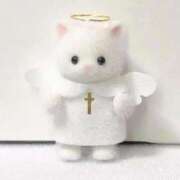 ヒメ日記 2025/07/09 17:47 投稿 こはく 女子校生はやめられない