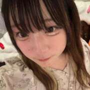 ヒメ日記 2025/07/29 22:18 投稿 ペンギン　人鳥 女の子市場