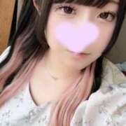 ヒメ日記 2025/08/31 14:38 投稿 ペンギン　人鳥 女の子市場