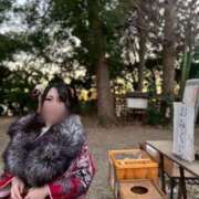 ペンギン　人鳥 成人式迎えました🚗💨 女の子市場