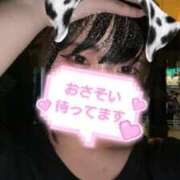 ヒメ日記 2025/09/21 14:56 投稿 せりな 横浜モンデミーテ（シンデレラグループ）