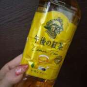 ヒメ日記 2025/08/16 10:06 投稿 みき 横浜風俗 横浜いきなりビンビン伝説