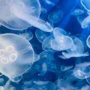 ヒメ日記 2025/11/09 16:24 投稿 みき 横浜風俗 横浜いきなりビンビン伝説