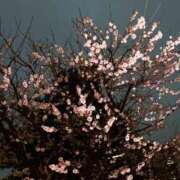 ヒメ日記 2026/03/05 19:03 投稿 みき 横浜風俗 横浜いきなりビンビン伝説