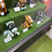 ヒメ日記 2025/11/15 17:30 投稿 ハナビ AMOUR（アムール）