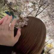 ヒメ日記 2025/11/03 00:25 投稿 そあ IRIS(岐阜)