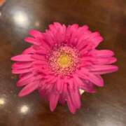 ヒメ日記 2025/08/25 18:02 投稿 まきの 千葉サンキュー