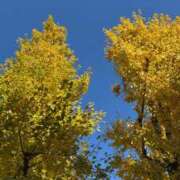 莉恋/りこ お久しぶりです⛄️ 五反田アネージュ（ユメオト）