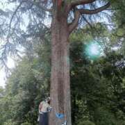 ヒメ日記 2025/06/01 21:28 投稿 たゆた 涼泉（りょうせん）