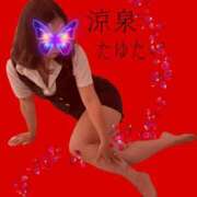 ヒメ日記 2025/06/06 21:20 投稿 たゆた 涼泉（りょうせん）