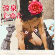 ヒメ日記 2025/06/15 08:42 投稿 たゆた 涼泉（りょうせん）