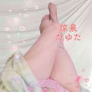 ヒメ日記 2025/06/19 11:15 投稿 たゆた 涼泉（りょうせん）