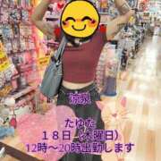 ヒメ日記 2025/09/15 09:28 投稿 たゆた 涼泉（りょうせん）