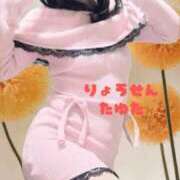 ヒメ日記 2025/11/05 00:27 投稿 たゆた 涼泉（りょうせん）