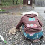 ヒメ日記 2025/11/08 20:35 投稿 たゆた 涼泉（りょうせん）