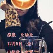 たゆた さよなら11月… 涼泉（りょうせん）