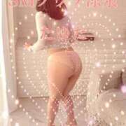 ヒメ日記 2026/01/31 22:05 投稿 たゆた 涼泉（りょうせん）