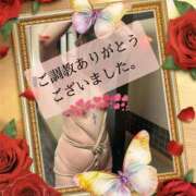 ヒメ日記 2026/04/04 15:19 投稿 たゆた 涼泉（りょうせん）