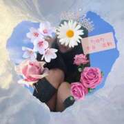 ヒメ日記 2026/04/07 11:13 投稿 たゆた 涼泉（りょうせん）