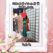 ヒメ日記 2026/05/24 18:11 投稿 たゆた 涼泉（りょうせん）
