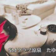 ヒメ日記 2026/05/29 00:05 投稿 たゆた 涼泉（りょうせん）