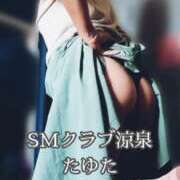 ヒメ日記 2026/06/11 15:28 投稿 たゆた 涼泉（りょうせん）