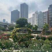 ヒメ日記 2025/05/20 20:15 投稿 まほ ぷるるんマダム 難波店