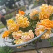 ヒメ日記 2025/05/23 23:30 投稿 まほ ぷるるんマダム 難波店