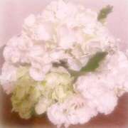 ヒメ日記 2025/05/30 16:01 投稿 まほ ぷるるんマダム 難波店