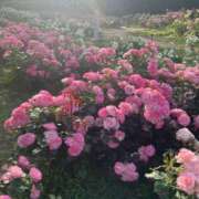 ヒメ日記 2025/06/19 21:01 投稿 まほ ぷるるんマダム 難波店