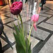 ヒメ日記 2025/07/02 21:30 投稿 まほ ぷるるんマダム 難波店