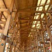 ヒメ日記 2025/07/12 15:20 投稿 まほ ぷるるんマダム 難波店