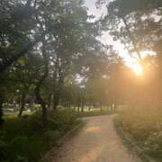 ヒメ日記 2025/08/15 08:41 投稿 まほ ぷるるんマダム 難波店