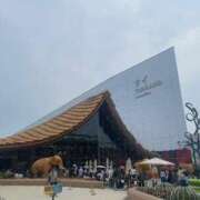 ヒメ日記 2025/08/22 22:34 投稿 まほ ぷるるんマダム 難波店