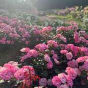 ヒメ日記 2025/08/30 20:30 投稿 まほ ぷるるんマダム 難波店