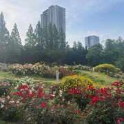 ヒメ日記 2025/09/01 22:01 投稿 まほ ぷるるんマダム 難波店