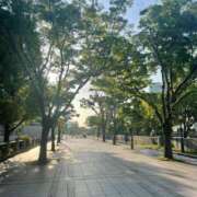 ヒメ日記 2025/10/02 07:33 投稿 まほ ぷるるんマダム 難波店