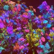 ヒメ日記 2025/10/16 23:40 投稿 まほ ぷるるんマダム 難波店