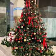 ヒメ日記 2025/12/19 15:04 投稿 まほ ぷるるんマダム 難波店