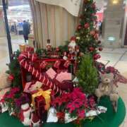 ヒメ日記 2025/12/24 08:34 投稿 まほ ぷるるんマダム 難波店