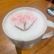 ヒメ日記 2026/03/11 23:00 投稿 まほ ぷるるんマダム 難波店