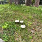 ヒメ日記 2026/09/23 08:03 投稿 まほ ぷるるんマダム 難波店