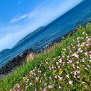 ヒメ日記 2025/06/03 19:30 投稿 こずえ 佐賀人妻デリヘル 「デリ夫人」