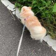 ヒメ日記 2025/06/04 19:15 投稿 こずえ 佐賀人妻デリヘル 「デリ夫人」